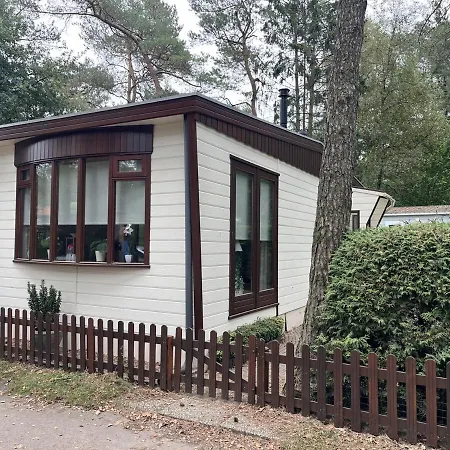 Alpstuga Viooltje In Het Bos I Knus Op De Veluwe *