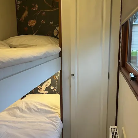 Viooltje In Het Bos I Knus Op De Veluwe Chalet