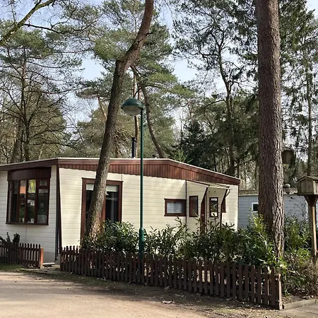 Viooltje In Het Bos I Knus Op De Veluwe Alpstuga