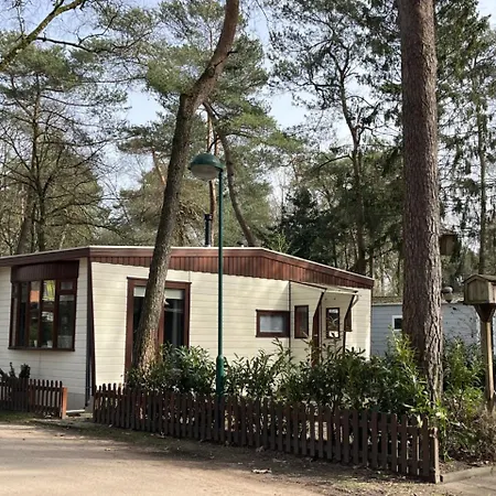 Alpstuga Viooltje In Het Bos I Knus Op De Veluwe Hoenderloo
