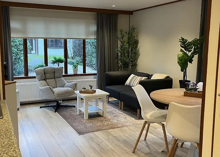 Viooltje In Het Bos I Knus Op De Veluwe *