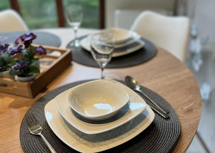 Viooltje In Het Bos I Knus Op De Veluwe * Hoenderloo