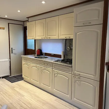 Viooltje In Het Bos I Knus Op De Veluwe