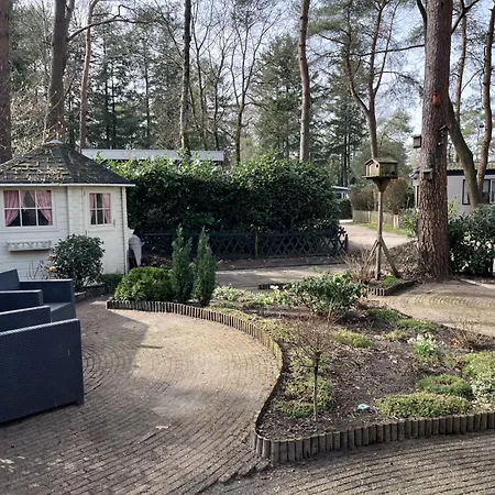 Viooltje In Het Bos I Knus Op De Veluwe Alpesi faház *