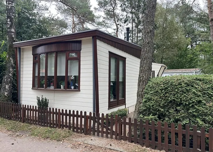Alpesi faház Viooltje In Het Bos I Knus Op De Veluwe *