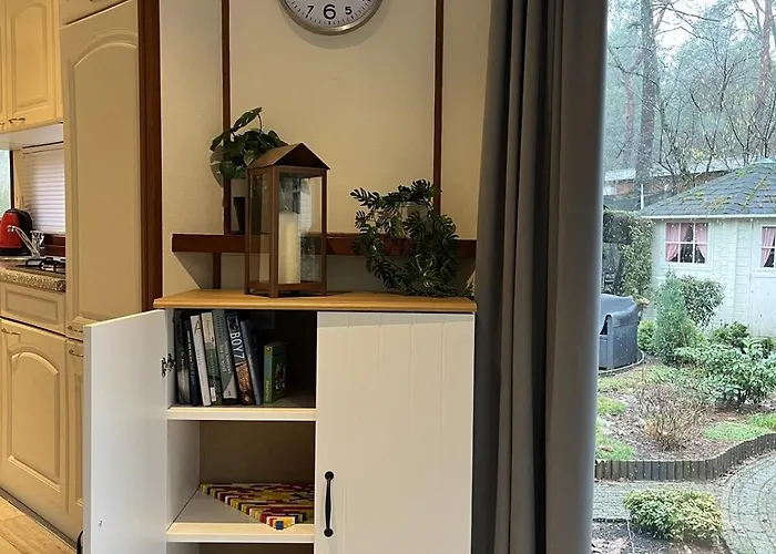 Viooltje In Het Bos I Knus Op De Veluwe Hoenderloo