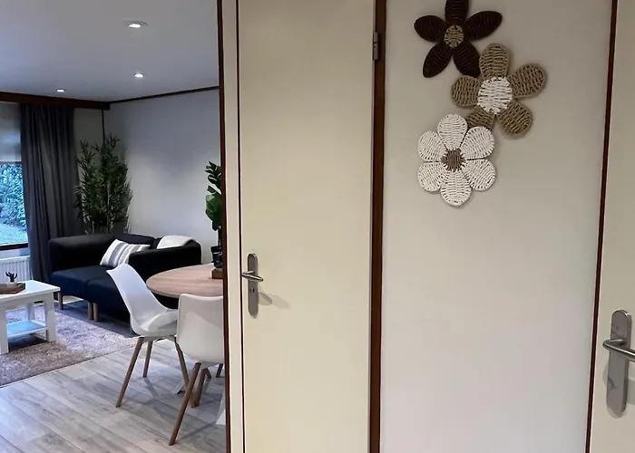 Viooltje In Het Bos I Knus Op De Veluwe