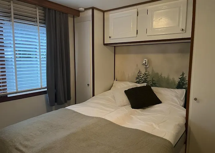 Chalet Viooltje In Het Bos I Knus Op De Veluwe