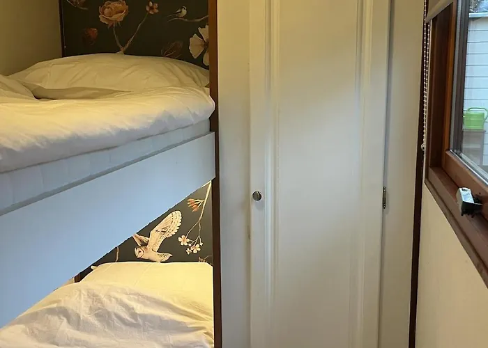 Viooltje In Het Bos I Knus Op De Veluwe Chalet