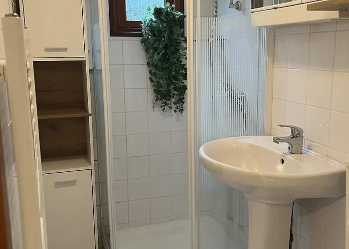 Chalet Viooltje In Het Bos I Knus Op De Veluwe Hoenderloo