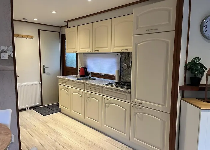 Viooltje In Het Bos I Knus Op De Veluwe