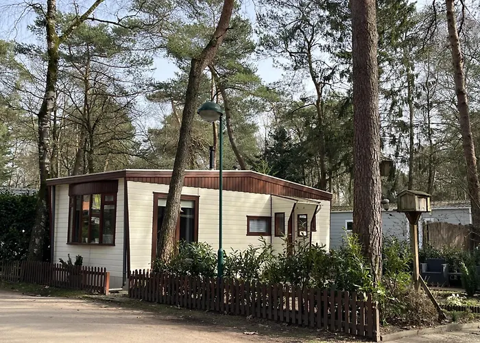 Viooltje In Het Bos I Knus Op De Veluwe Alpesi faház