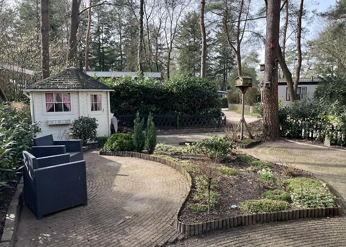 Viooltje In Het Bos I Knus Op De Veluwe Chalet *